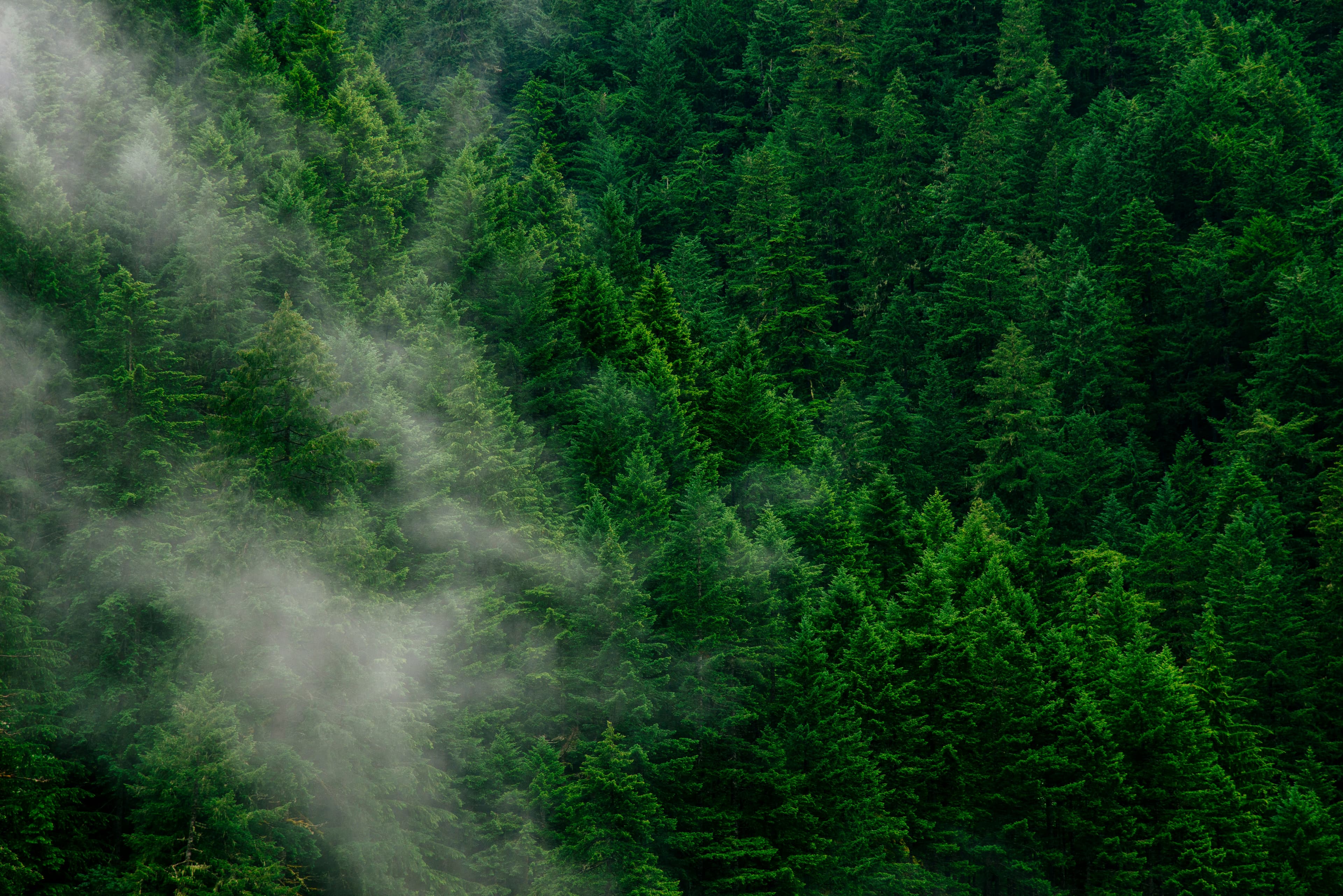 Intelligent Sustainable Technologies